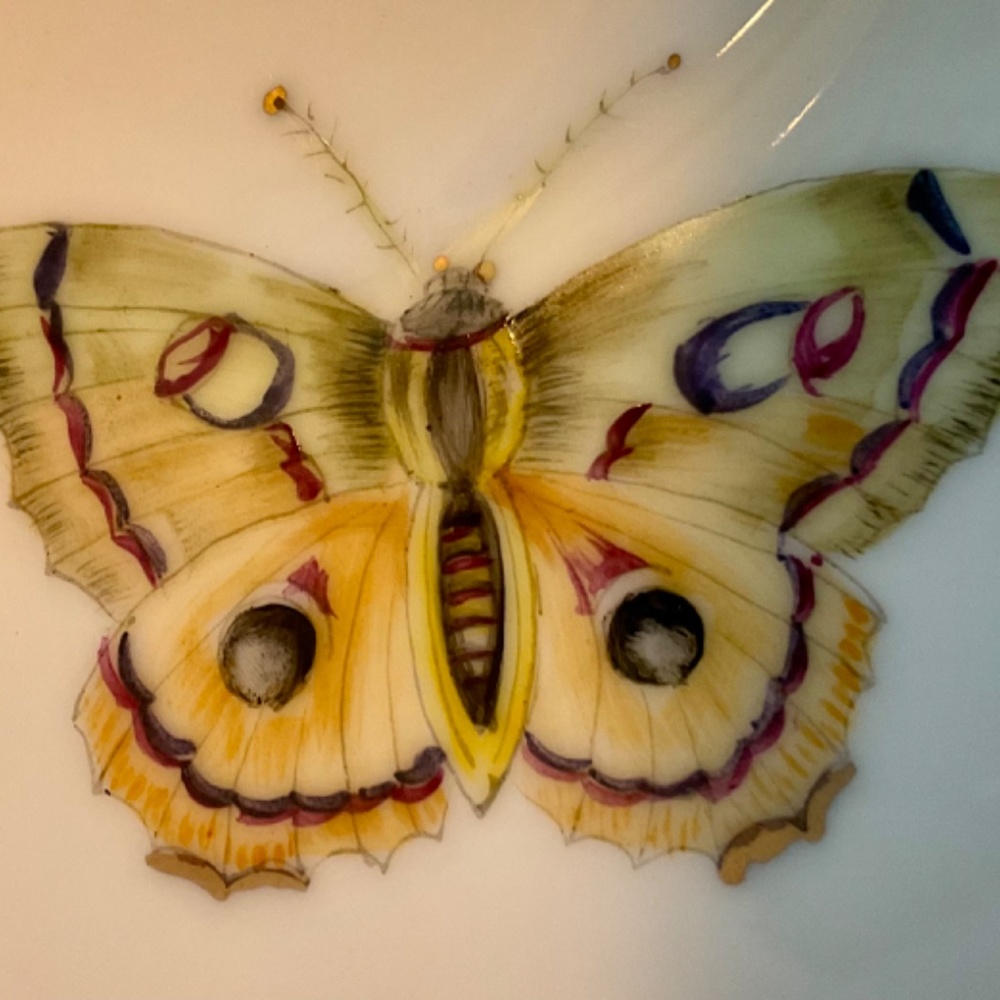 Anna Weatherley Hand Painted Porcelain Box - Picture 4 of 16